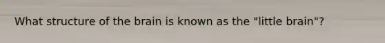What structure of the brain is known as the "little brain"?