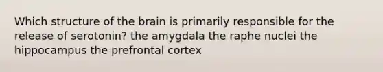 Which structure of the brain is primarily responsible for the release of serotonin? the amygdala the raphe nuclei the hippocampus the prefrontal cortex