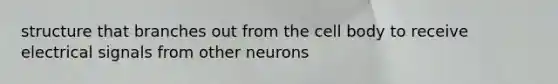 structure that branches out from the cell body to receive electrical signals from other neurons