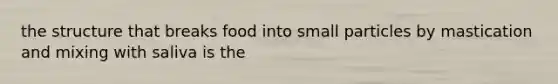 the structure that breaks food into small particles by mastication and mixing with saliva is the