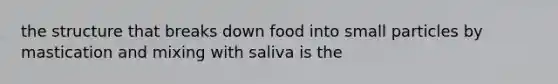 the structure that breaks down food into small particles by mastication and mixing with saliva is the