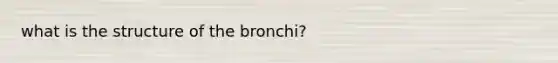 what is the structure of the bronchi?