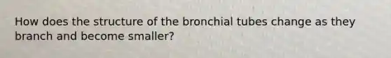 How does the structure of the bronchial tubes change as they branch and become smaller?