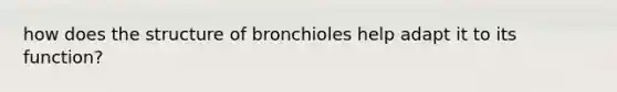 how does the structure of bronchioles help adapt it to its function?