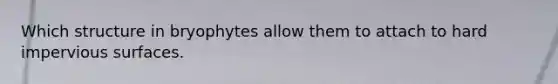 Which structure in bryophytes allow them to attach to hard impervious surfaces.