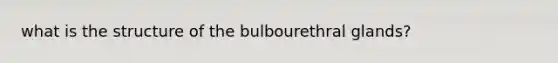 what is the structure of the bulbourethral glands?