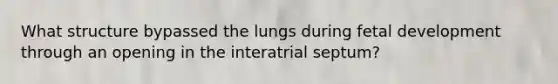 What structure bypassed the lungs during fetal development through an opening in the interatrial septum?