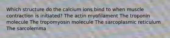 Which structure do the calcium ions bind to when muscle contraction is initiated? The actin myofilament The troponin molecule The tropomyosin molecule The sarcoplasmic reticulum The sarcolemma