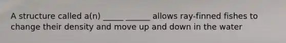 A structure called a(n) _____ ______ allows ray-finned fishes to change their density and move up and down in the water