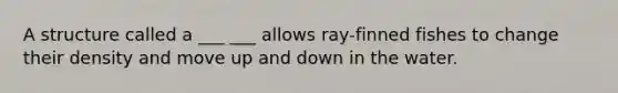 A structure called a ___ ___ allows ray-finned fishes to change their density and move up and down in the water.