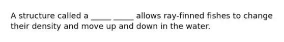 A structure called a _____ _____ allows ray-finned fishes to change their density and move up and down in the water.