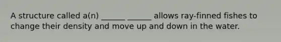 A structure called a(n) ______ ______ allows ray-finned fishes to change their density and move up and down in the water.