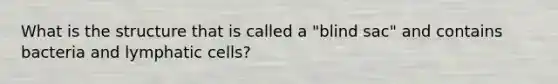 What is the structure that is called a "blind sac" and contains bacteria and lymphatic cells?