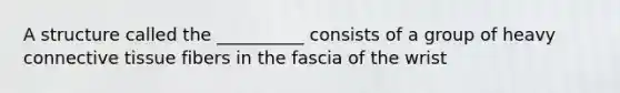 A structure called the __________ consists of a group of heavy connective tissue fibers in the fascia of the wrist