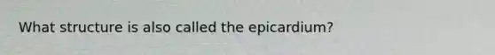 What structure is also called the epicardium?