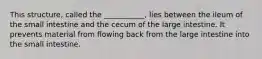 This structure, called the ___________, lies between the ileum of the small intestine and the cecum of the large intestine. It prevents material from flowing back from the large intestine into the small intestine.