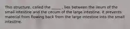 This structure, called the _____ , lies between the ileum of the small intestine and the cecum of the large intestine. It prevents material from flowing back from the large intestine into the small intestine.