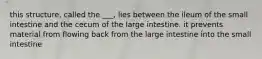 this structure, called the ___, lies between the ileum of the small intestine and the cecum of the large intestine. it prevents material from flowing back from the large intestine into the small intestine