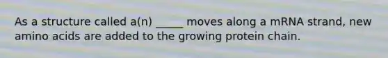 As a structure called a(n) _____ moves along a mRNA strand, new amino acids are added to the growing protein chain.