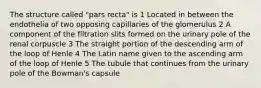 The structure called "pars recta" is 1 Located in between the endothelia of two opposing capillaries of the glomerulus 2 A component of the filtration slits formed on the urinary pole of the renal corpuscle 3 The straight portion of the descending arm of the loop of Henle 4 The Latin name given to the ascending arm of the loop of Henle 5 The tubule that continues from the urinary pole of the Bowman's capsule