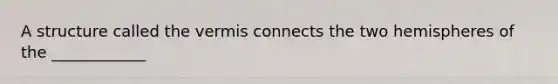 A structure called the vermis connects the two hemispheres of the ____________