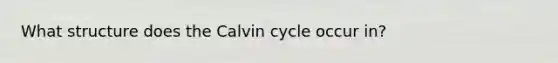 What structure does the Calvin cycle occur in?