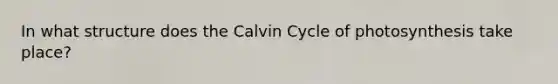 In what structure does the Calvin Cycle of photosynthesis take place?