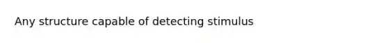 Any structure capable of detecting stimulus