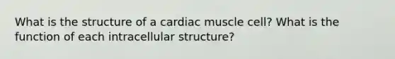 What is the structure of a cardiac muscle cell? What is the function of each intracellular structure?