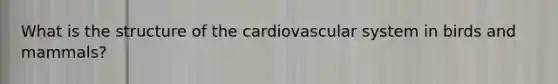 What is the structure of the cardiovascular system in birds and mammals?