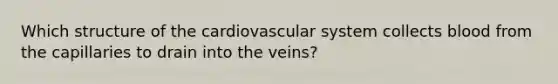 Which structure of the cardiovascular system collects blood from the capillaries to drain into the veins?