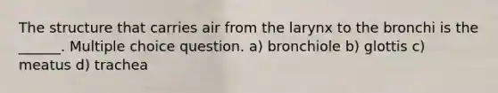 The structure that carries air from the larynx to the bronchi is the ______. Multiple choice question. a) bronchiole b) glottis c) meatus d) trachea