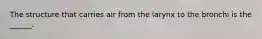 The structure that carries air from the larynx to the bronchi is the ______.