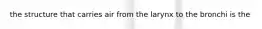 the structure that carries air from the larynx to the bronchi is the