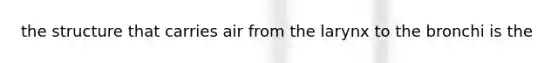 the structure that carries air from the larynx to the bronchi is the