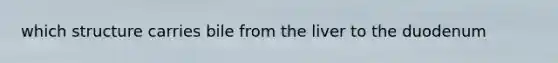 which structure carries bile from the liver to the duodenum