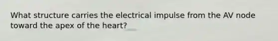 What structure carries the electrical impulse from the AV node toward the apex of <a href='https://www.questionai.com/knowledge/kya8ocqc6o-the-heart' class='anchor-knowledge'>the heart</a>?