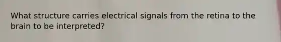 What structure carries electrical signals from the retina to the brain to be interpreted?