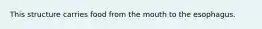 This structure carries food from the mouth to the esophagus.