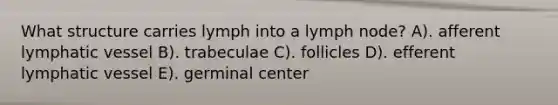 What structure carries lymph into a lymph node? A). afferent lymphatic vessel B). trabeculae C). follicles D). efferent lymphatic vessel E). germinal center