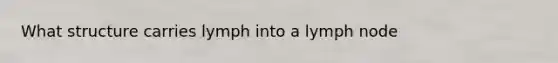 What structure carries lymph into a lymph node
