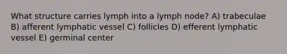 What structure carries lymph into a lymph node? A) trabeculae B) afferent lymphatic vessel C) follicles D) efferent lymphatic vessel E) germinal center