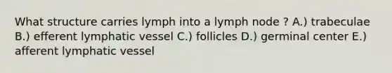 What structure carries lymph into a lymph node ? A.) trabeculae B.) efferent lymphatic vessel C.) follicles D.) germinal center E.) afferent lymphatic vessel