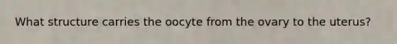 What structure carries the oocyte from the ovary to the uterus?