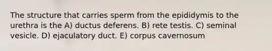 The structure that carries sperm from the epididymis to the urethra is the A) ductus deferens. B) rete testis. C) seminal vesicle. D) ejaculatory duct. E) corpus cavernosum