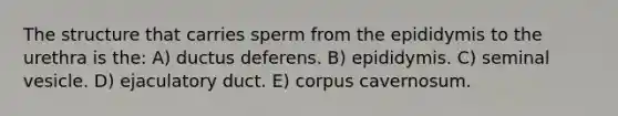 The structure that carries sperm from the epididymis to the urethra is the: A) ductus deferens. B) epididymis. C) seminal vesicle. D) ejaculatory duct. E) corpus cavernosum.