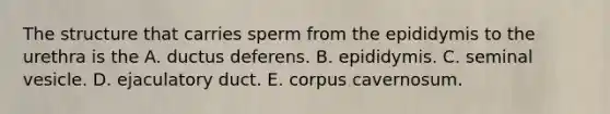 The structure that carries sperm from the epididymis to the urethra is the A. ductus deferens. B. epididymis. C. seminal vesicle. D. ejaculatory duct. E. corpus cavernosum.