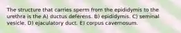 The structure that carries sperm from the epididymis to the urethra is the A) ductus deferens. B) epididymis. C) seminal vesicle. D) ejaculatory duct. E) corpus cavernosum.