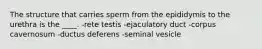 The structure that carries sperm from the epididymis to the urethra is the ____. -rete testis -ejaculatory duct -corpus cavernosum -ductus deferens -seminal vesicle