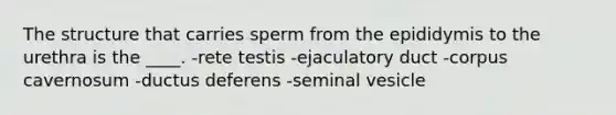 The structure that carries sperm from the epididymis to the urethra is the ____. -rete testis -ejaculatory duct -corpus cavernosum -ductus deferens -seminal vesicle